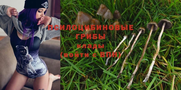прущие крисы Костерёво