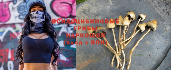 каннабис Коряжма