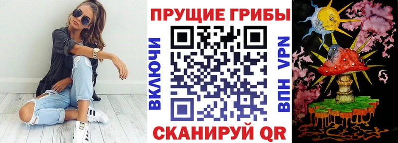 Псилоцибиновые грибы Cubensis  Отрадная 